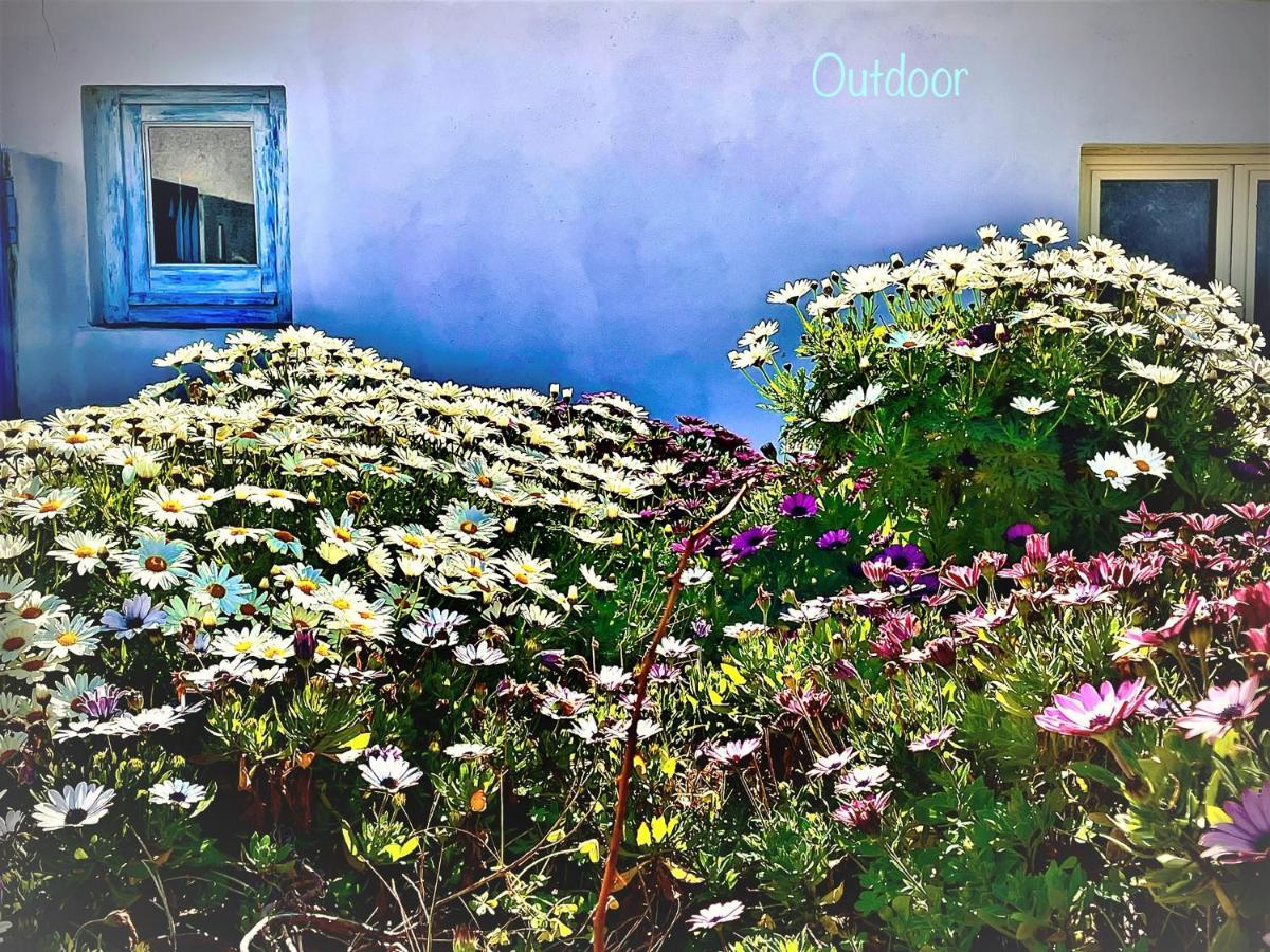 B&B Le Pavoncelle Sarde Flumini di Quartu Exterior foto